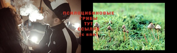 дурь Белоозёрский