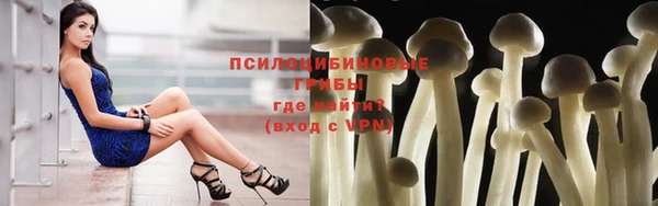 дурь Белоозёрский