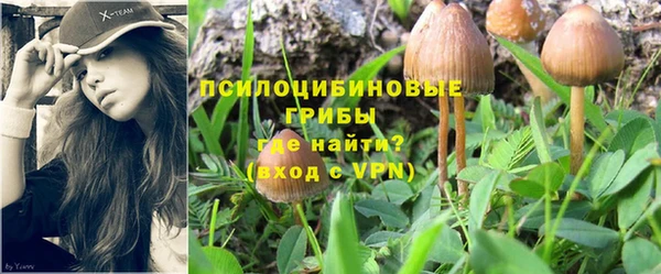 дурь Белоозёрский