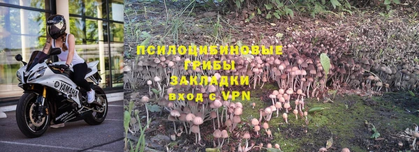дурь Белоозёрский